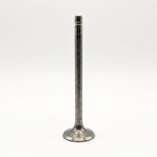 Valvula de Admision TNT150i Benelli